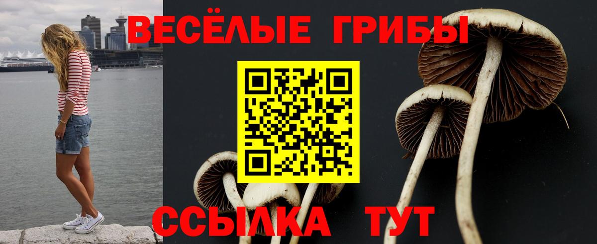 Галлюциногенные грибы ЛСД Елец